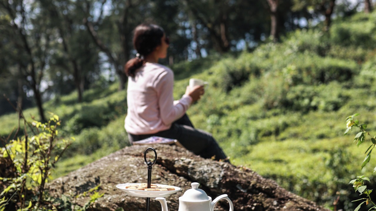 Photo of Outdoor in Palampur