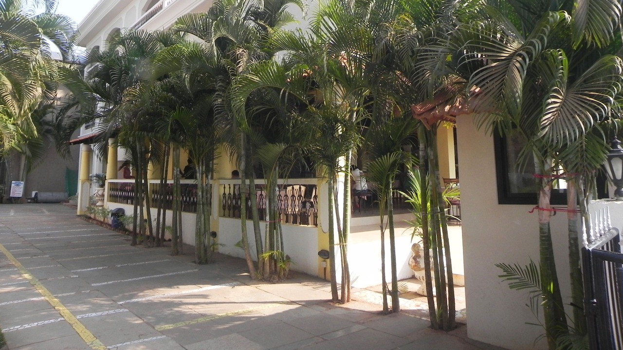 Photo of Others in Baga