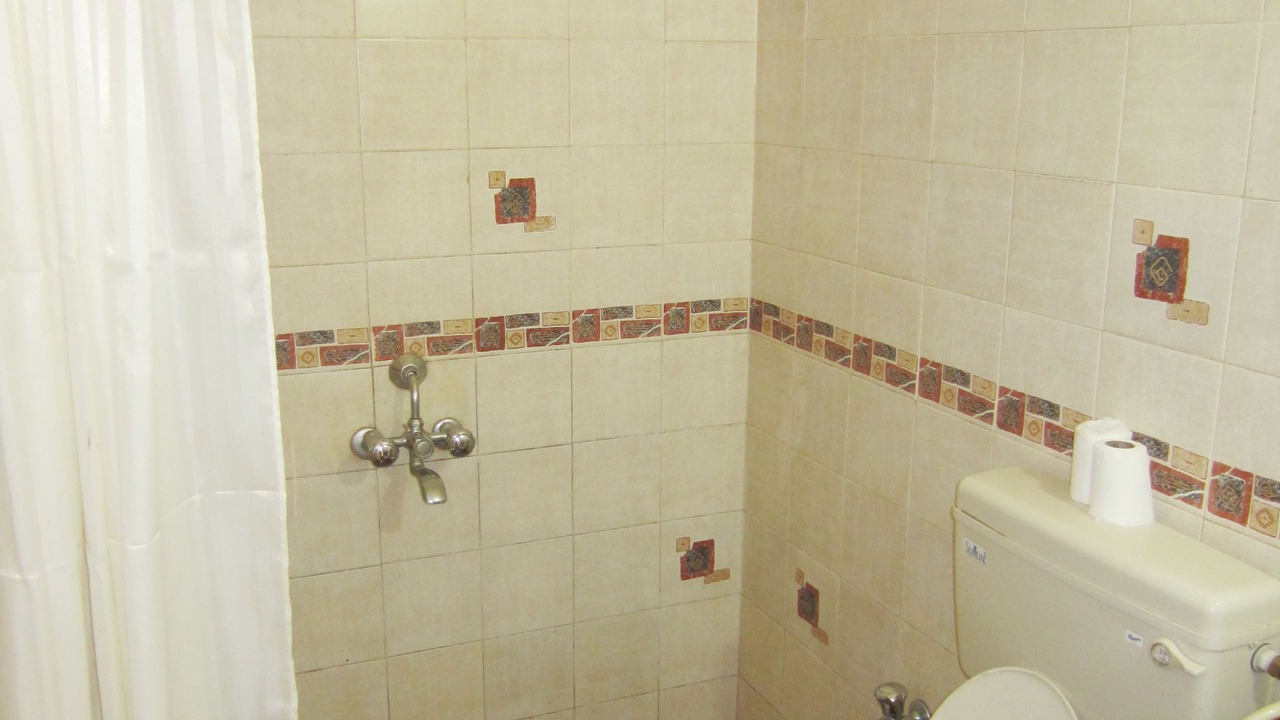Photo of Bathroom in Baga