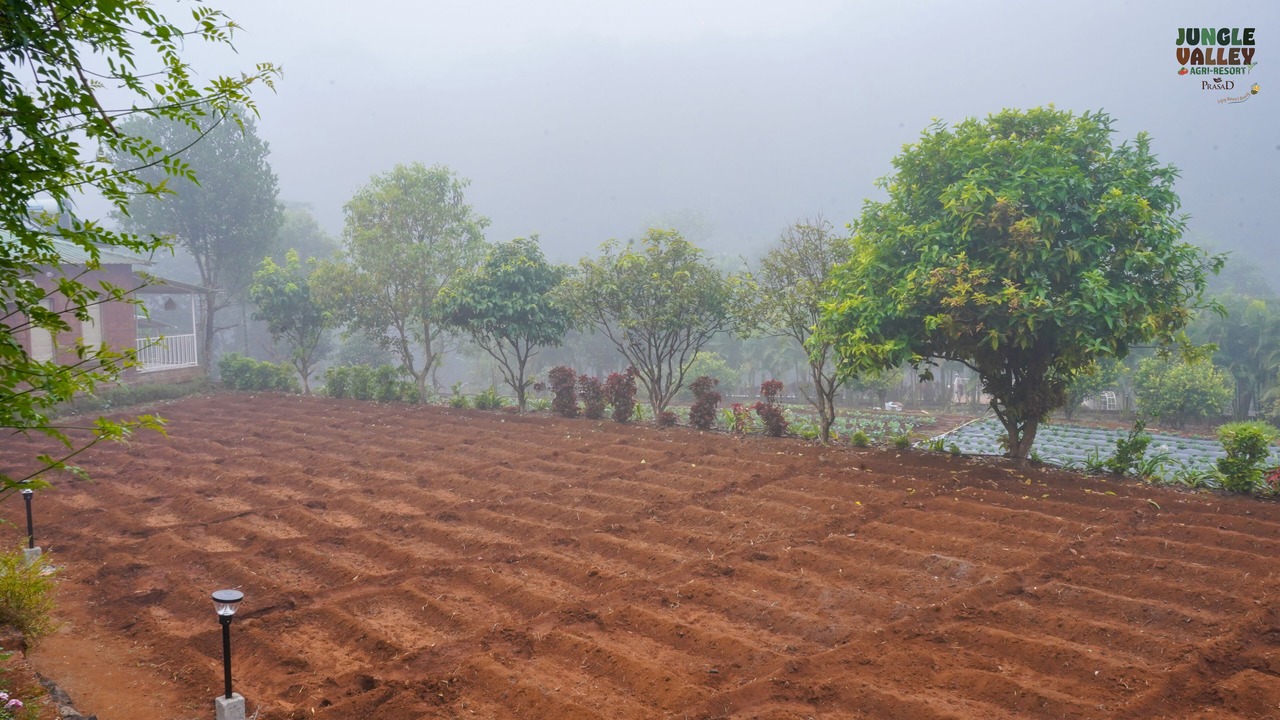 Photo of Outdoor in Mahabaleshwar
