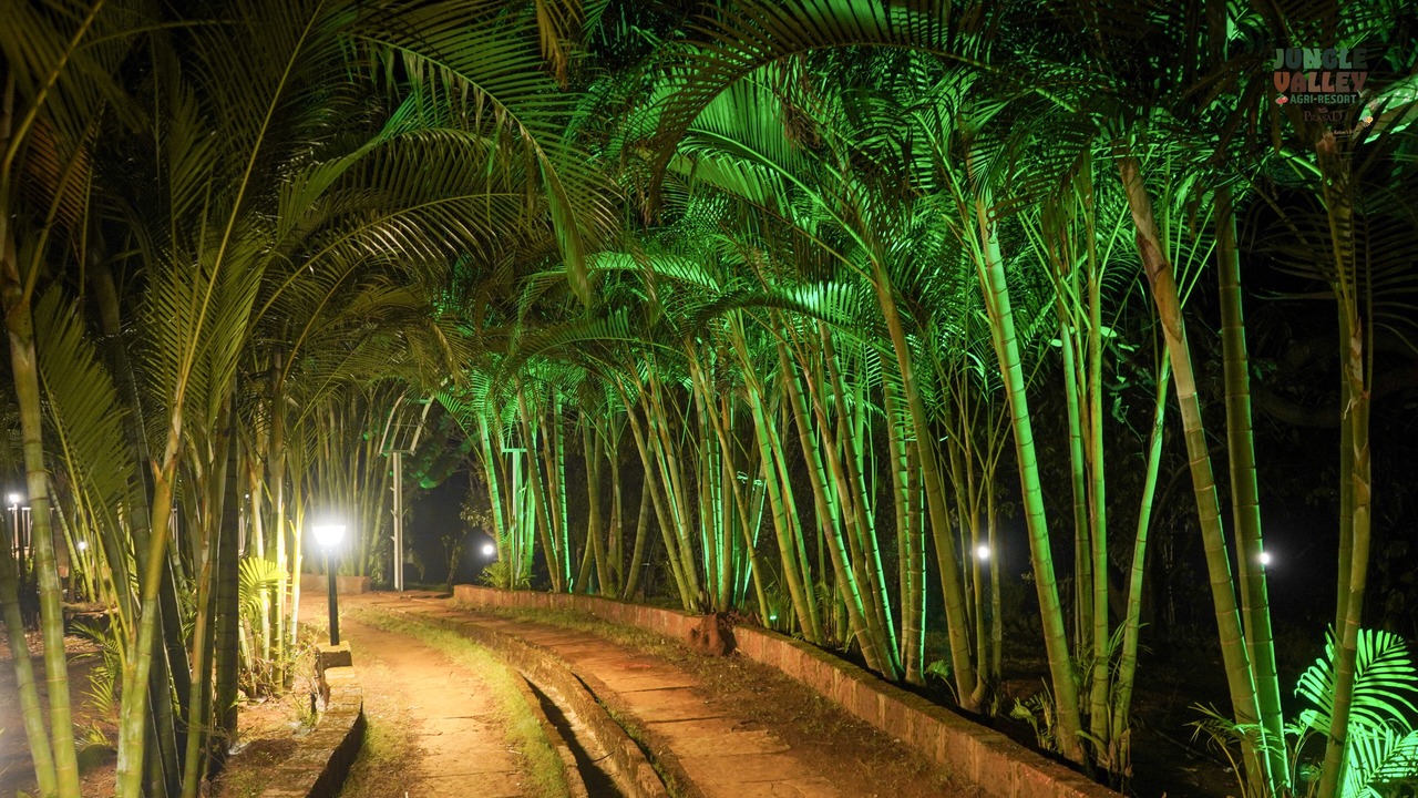 Photo of Outdoor in Mahabaleshwar