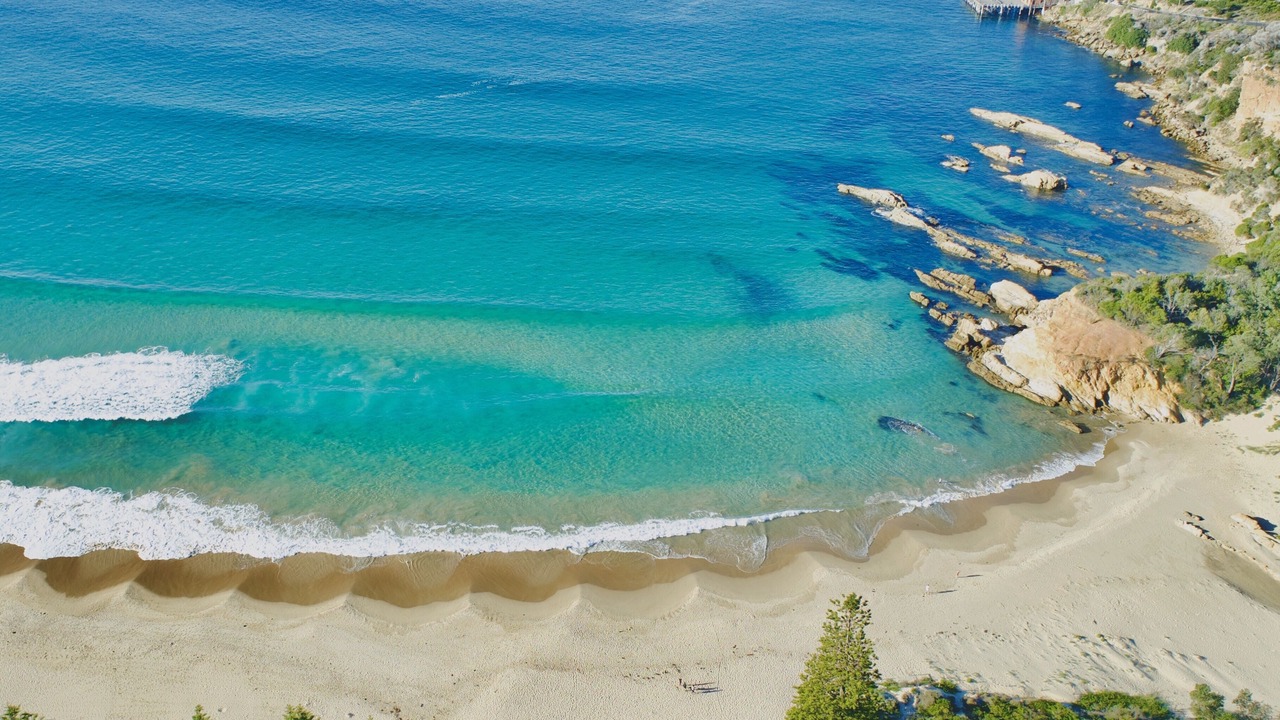 Photo of Others in Tathra