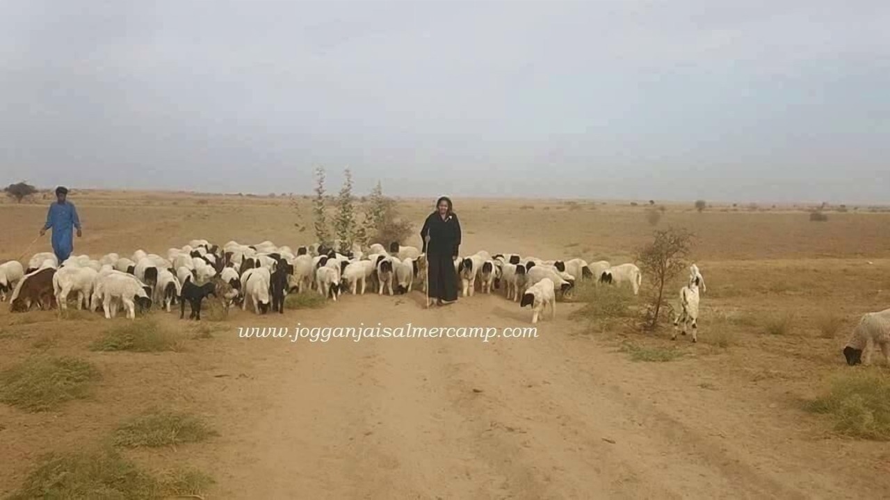 Photo of Others in Sam