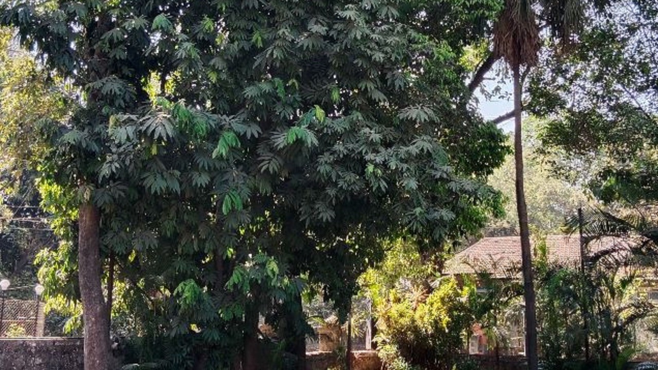 Photo of Outdoor in Rao Colony