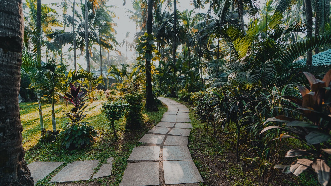 Photo of Outdoor in Morjim