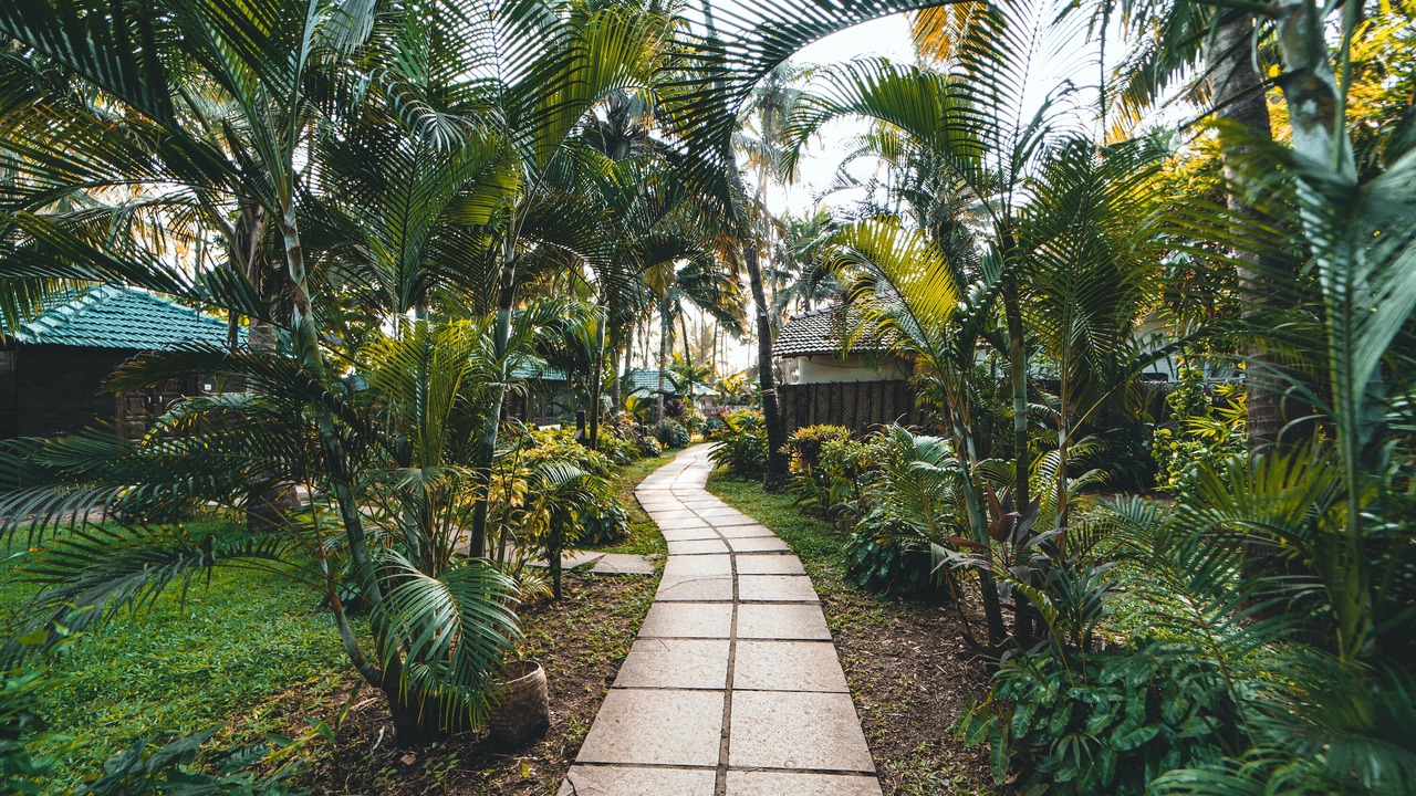 Photo of Outdoor in Morjim