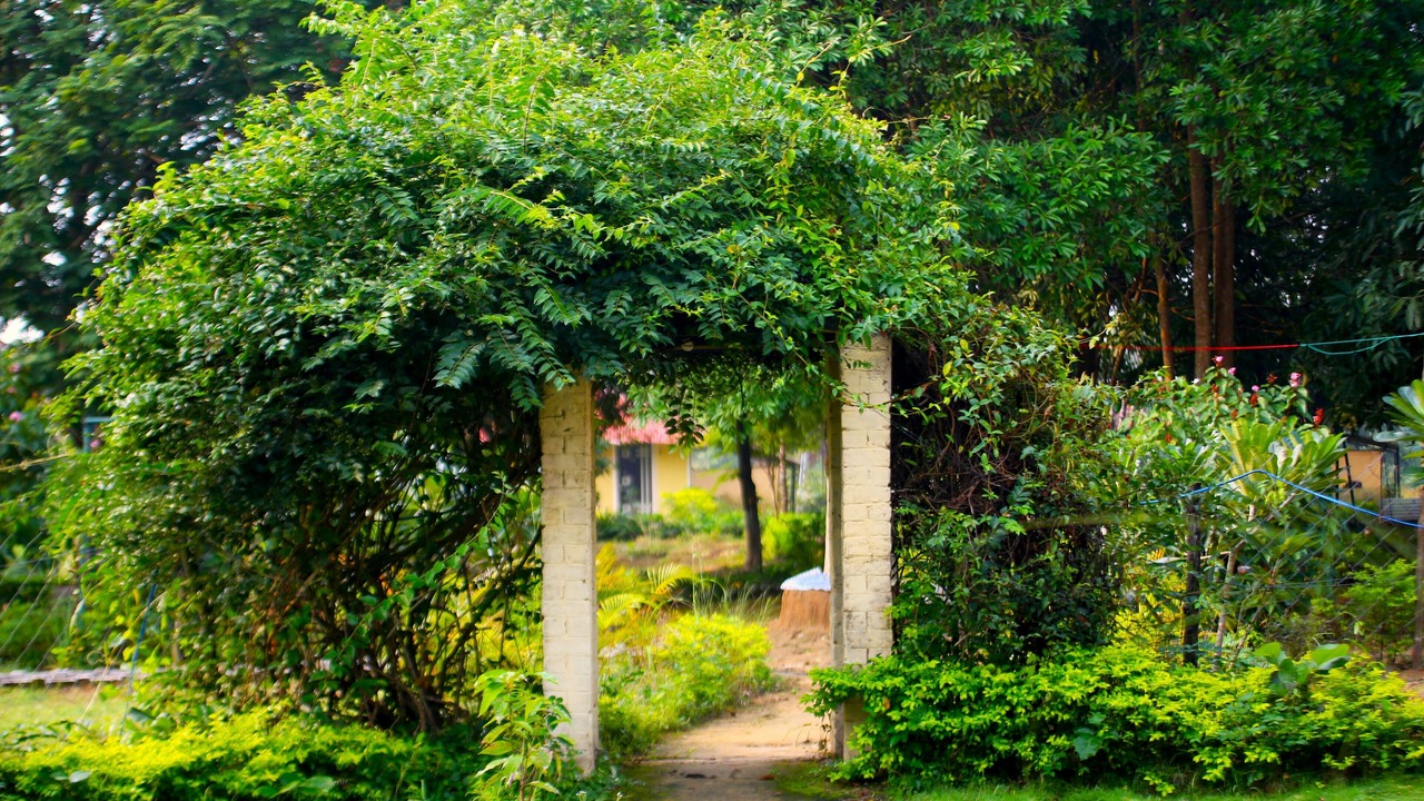 Photo of Outdoor in Khatia