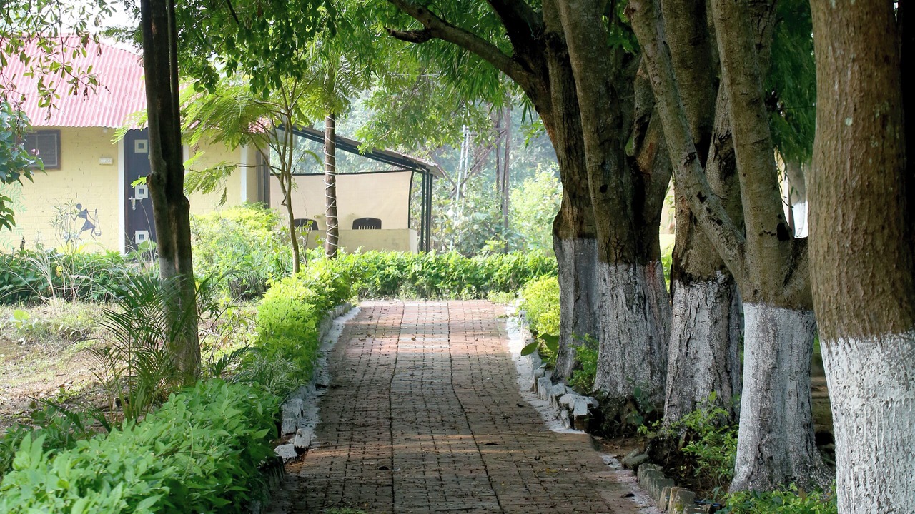 Photo of Outdoor in Khatia