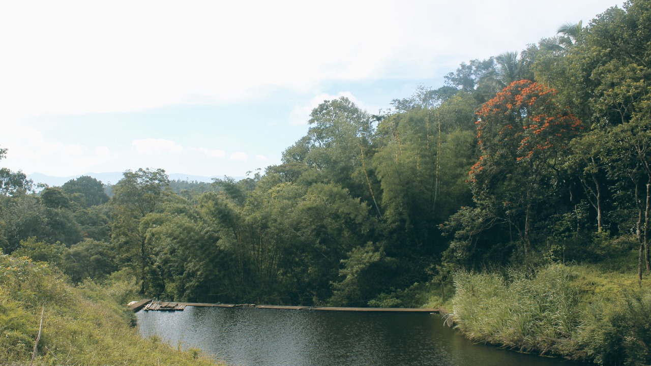 Photo of Outdoor in Kumily