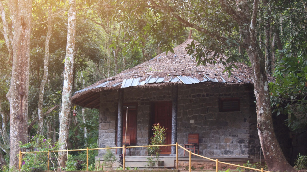Photo of Outdoor in Kumily