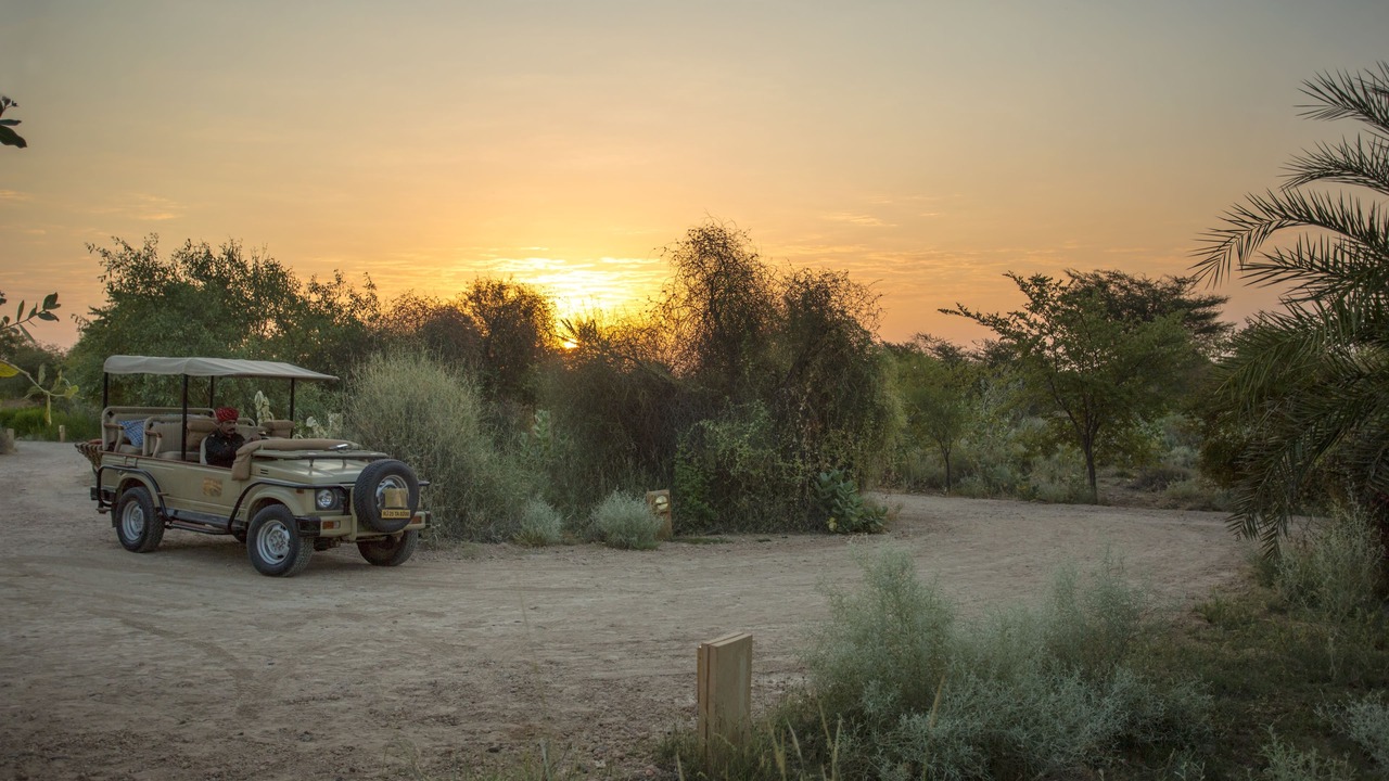 Photo of Outdoor in Jaisalmer