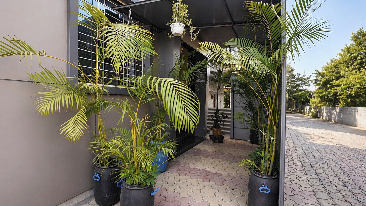 Photo of Outdoor in Boisar