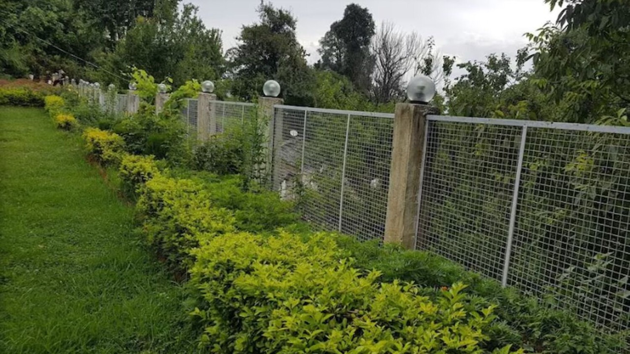Photo of Outdoor in Kausani