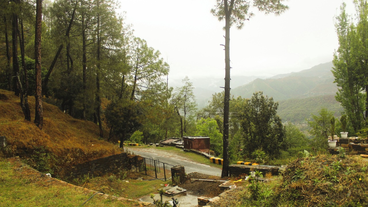 Photo of Outdoor in Almora