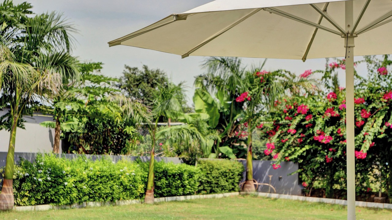 Photo of Outdoor in Thuravoor