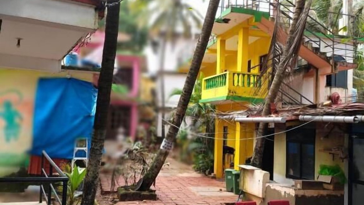 Photo of Outdoor in Arambol