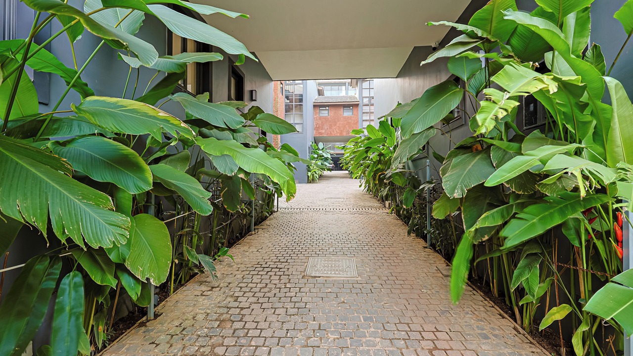 Photo of Outdoor in Marra
