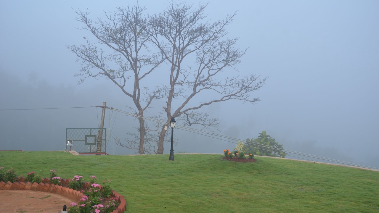 Photo of Outdoor in Samse