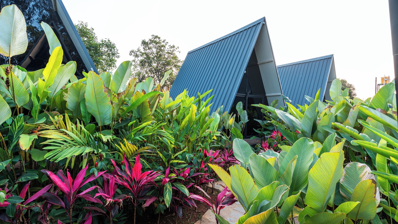 Photo of Outdoor in Narasapura