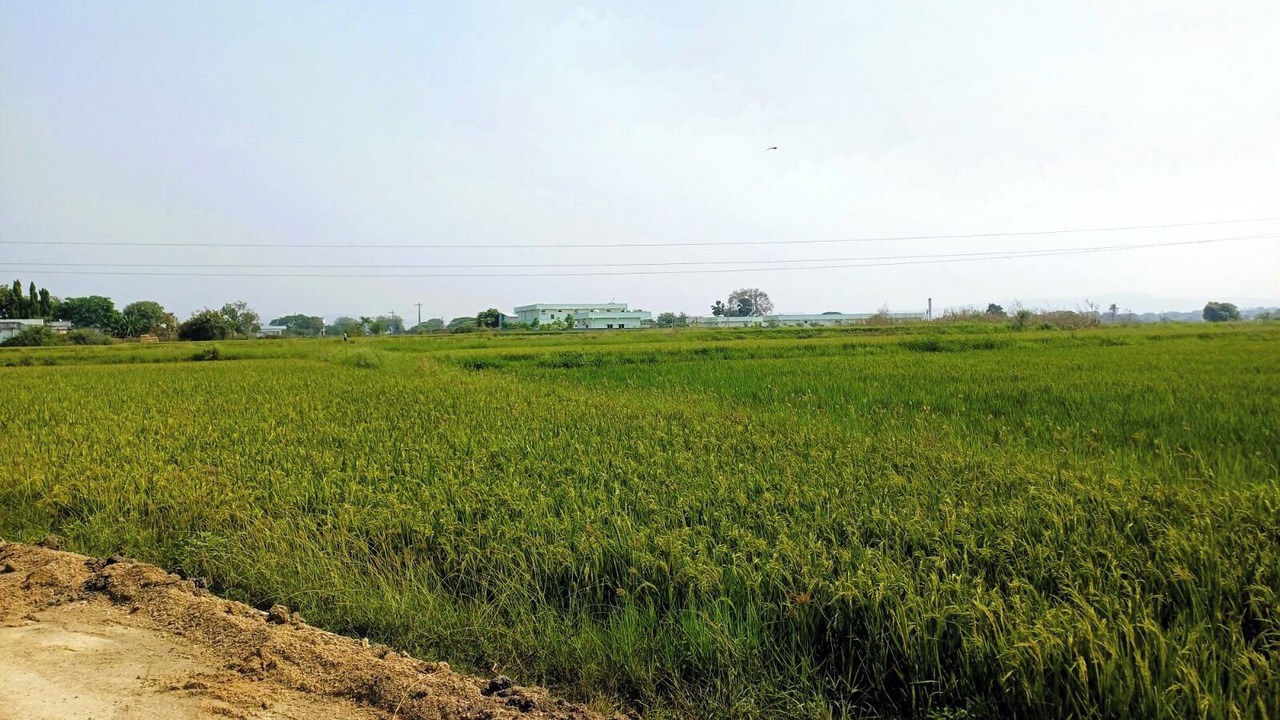 Photo of Others in Mancherial