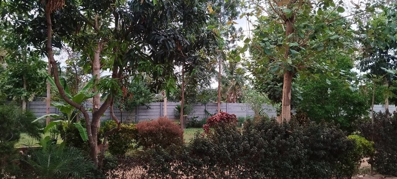 Photo of Outdoor in Shrirangapattana