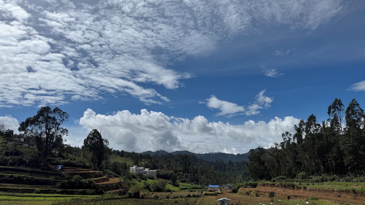 Photo of Others in Periyur