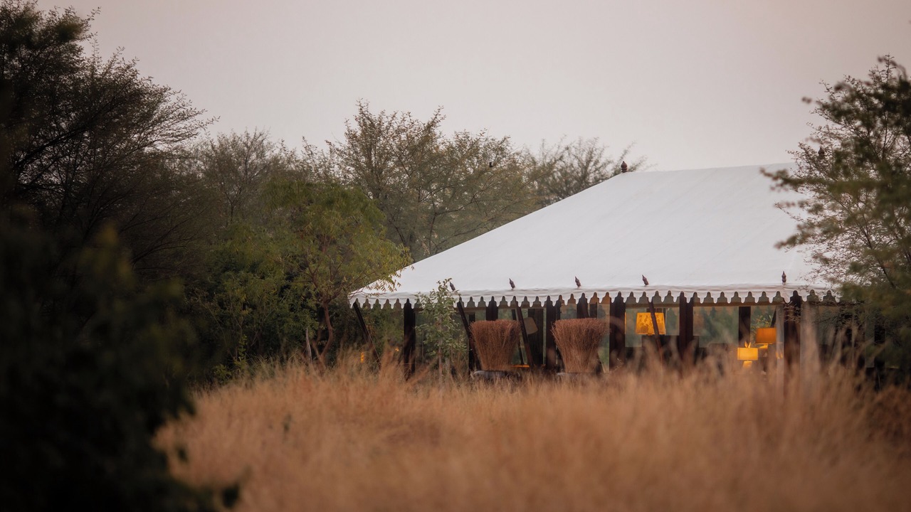Photo of Outdoor in Velavadar
