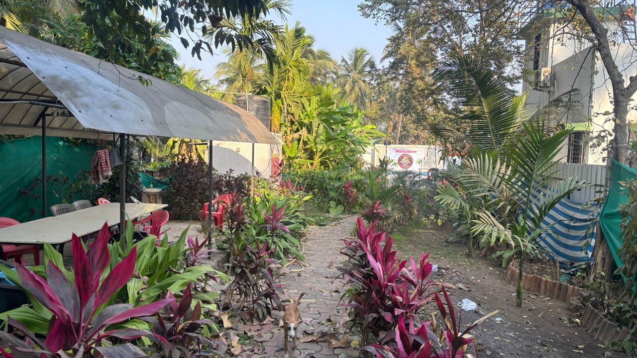 Photo of Outdoor in Kihim