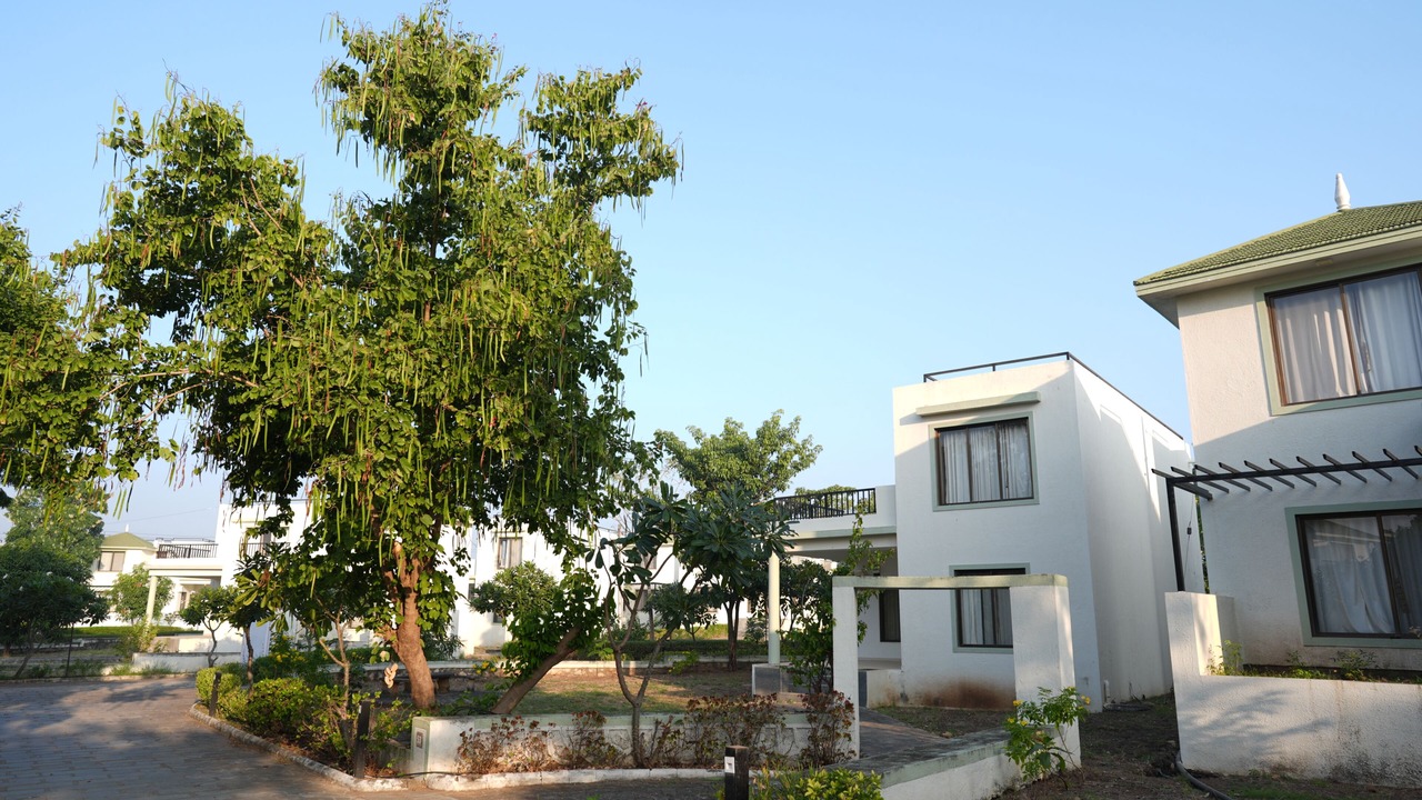 Photo of Outdoor in Dhari