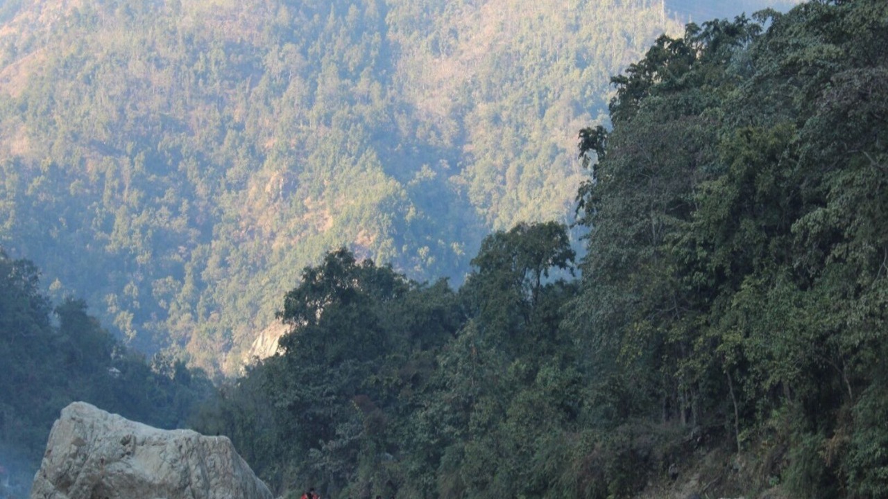 Photo of Others in Paliyal Gaon