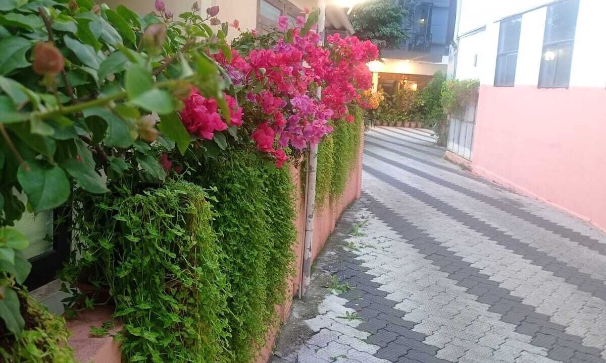 Photo of Outdoor in Kumily