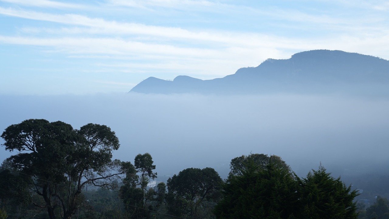 Photo of Outdoor in Devikolam
