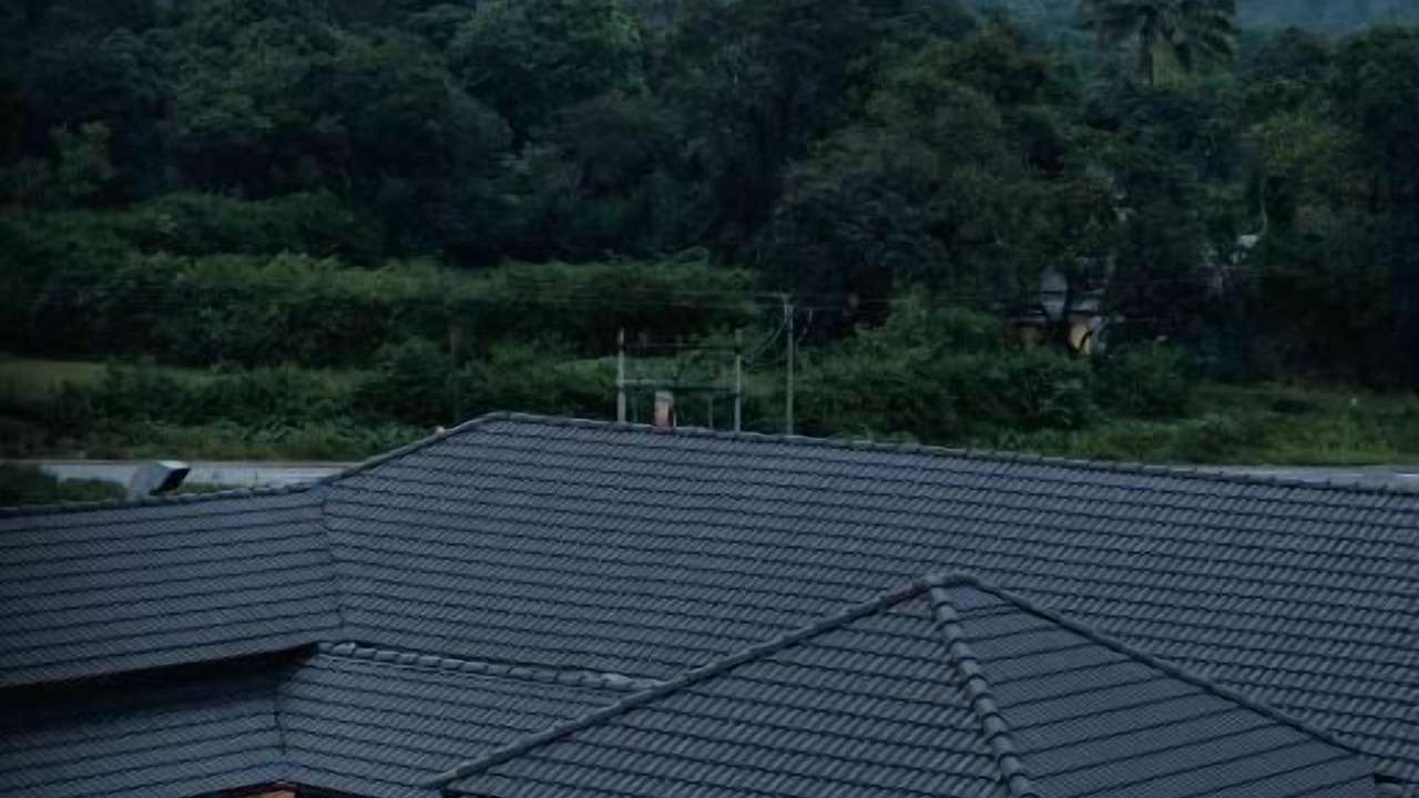 Photo of Outdoor in Mudigere