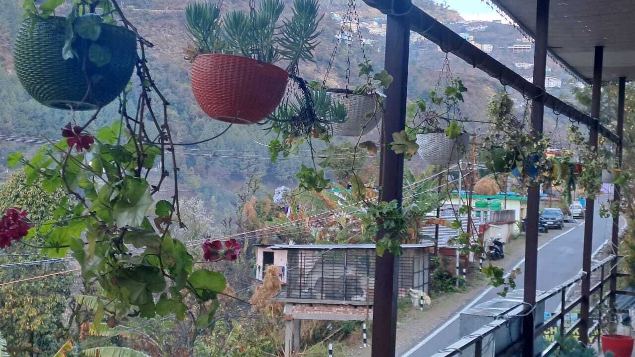 Photo of Outdoor in Chopta
