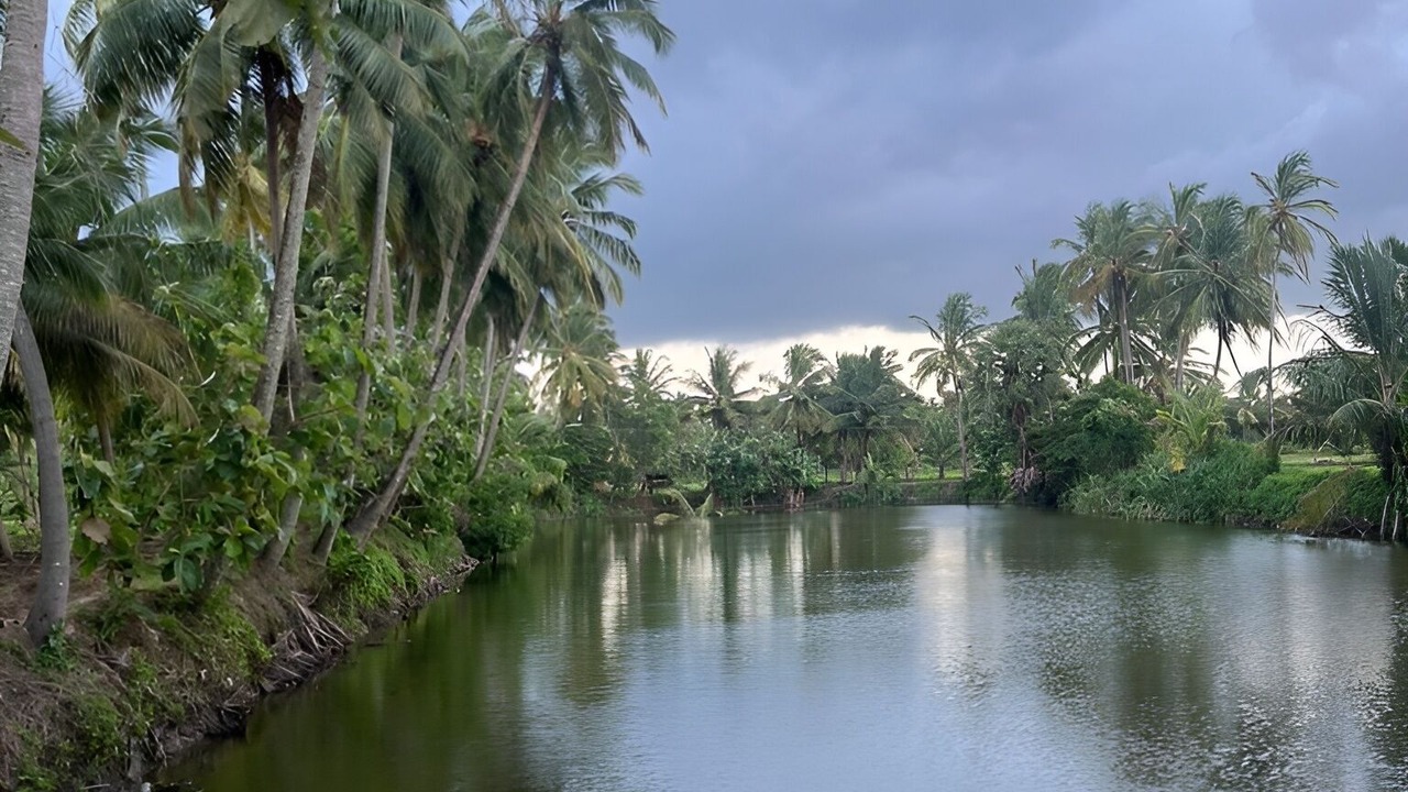 Photo of Others in Chittur