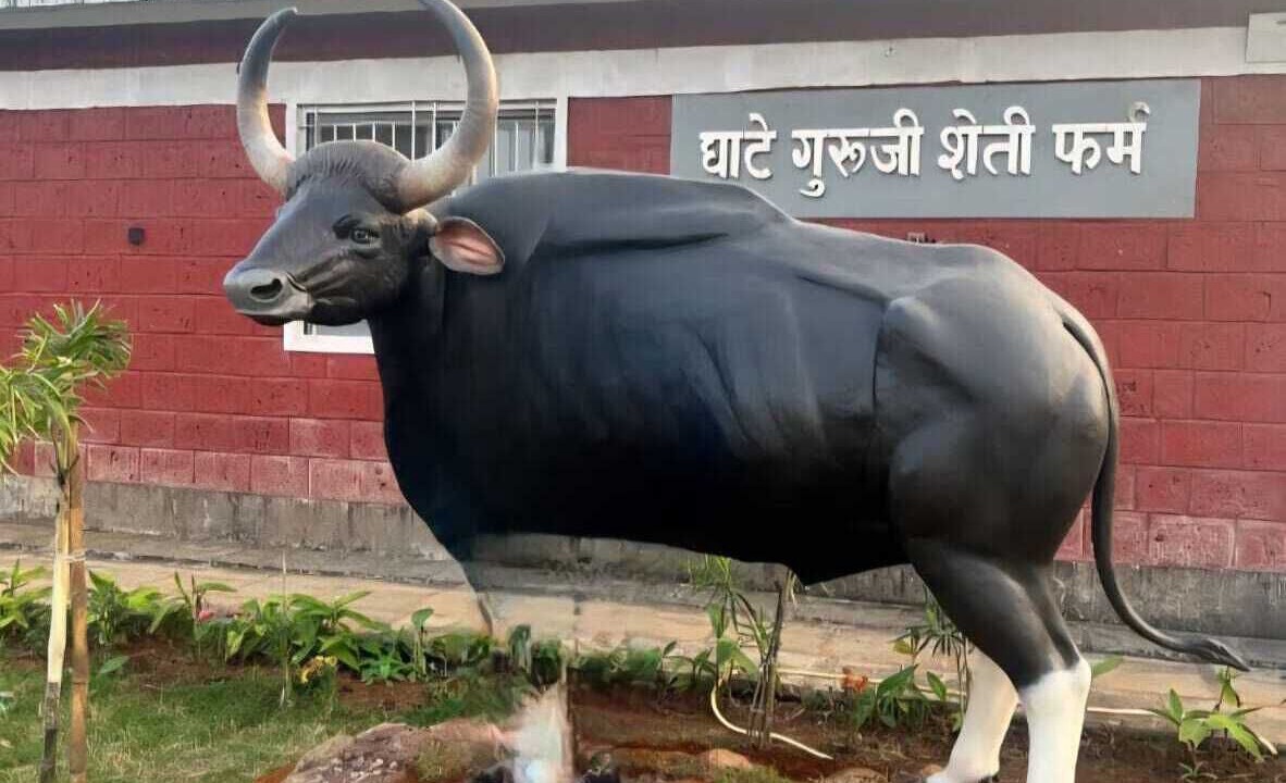 Photo of Others in Bavda