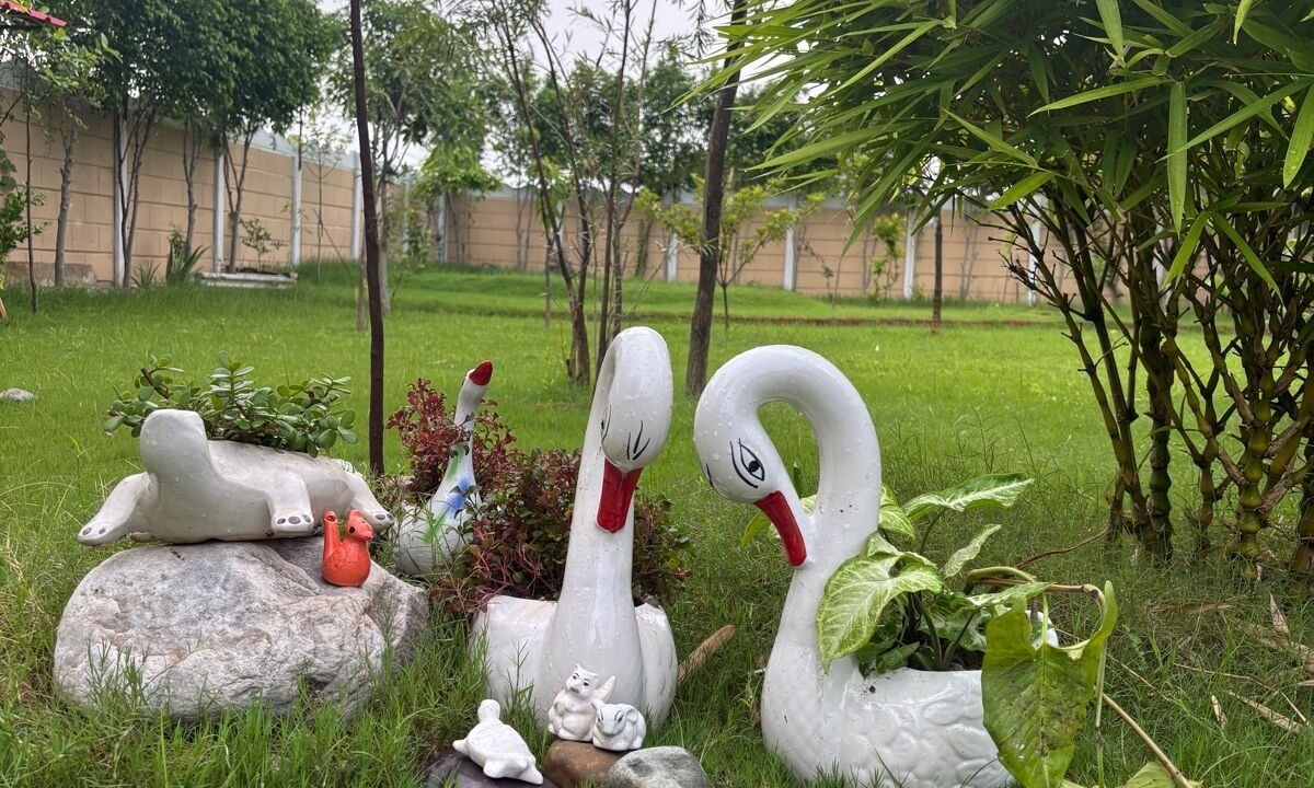 Photo of Outdoor in Mathura