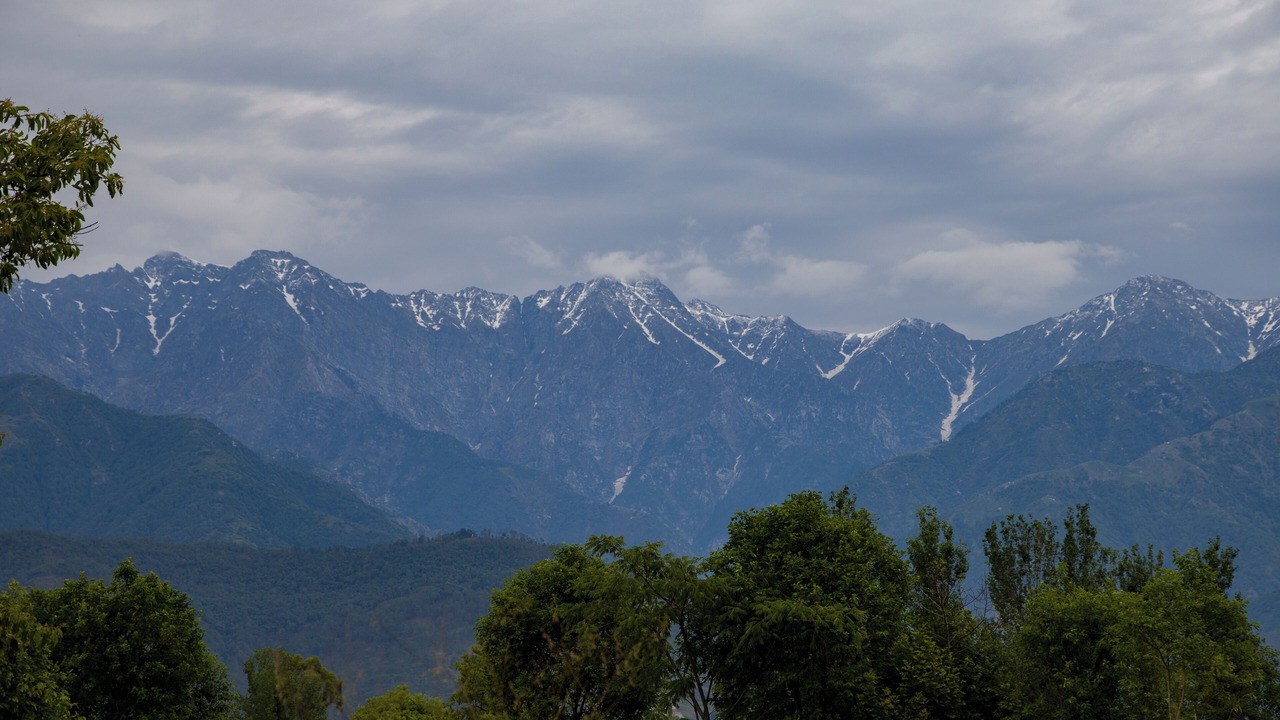 Photo of Others in Palampur