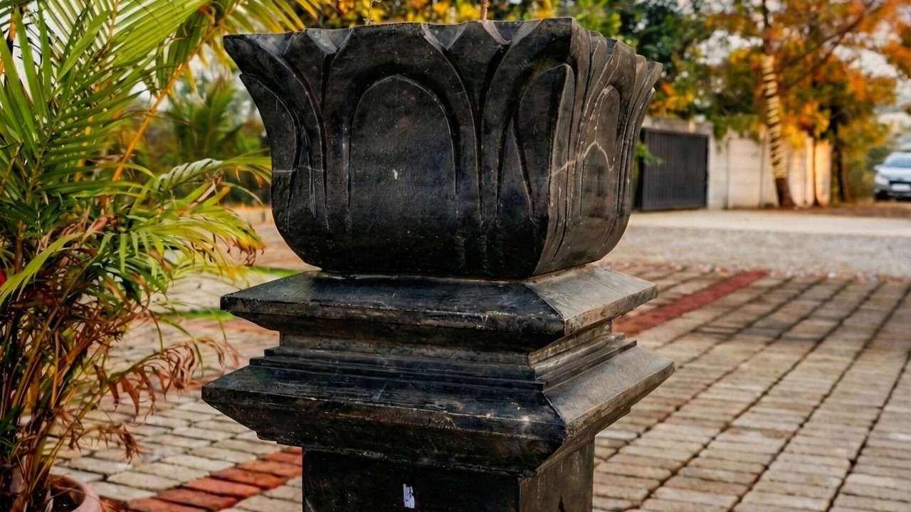 Photo of Outdoor in Anjaneri
