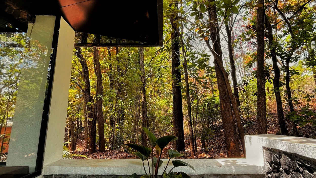 Photo of Outdoor in Shahapur