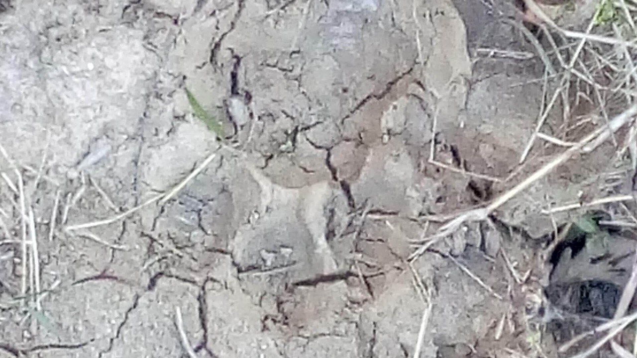 Photo of Outdoor in Mukki
