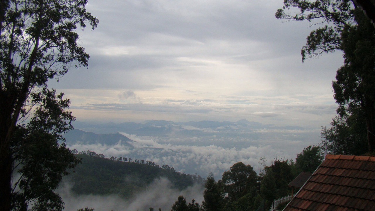 Photo of Outdoor in Kodaikanal