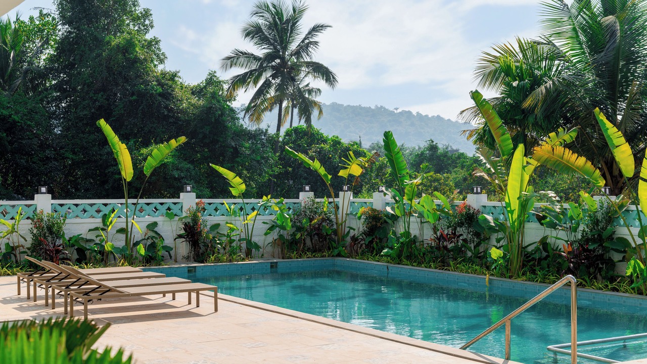 Photo of Outdoor in Arambol