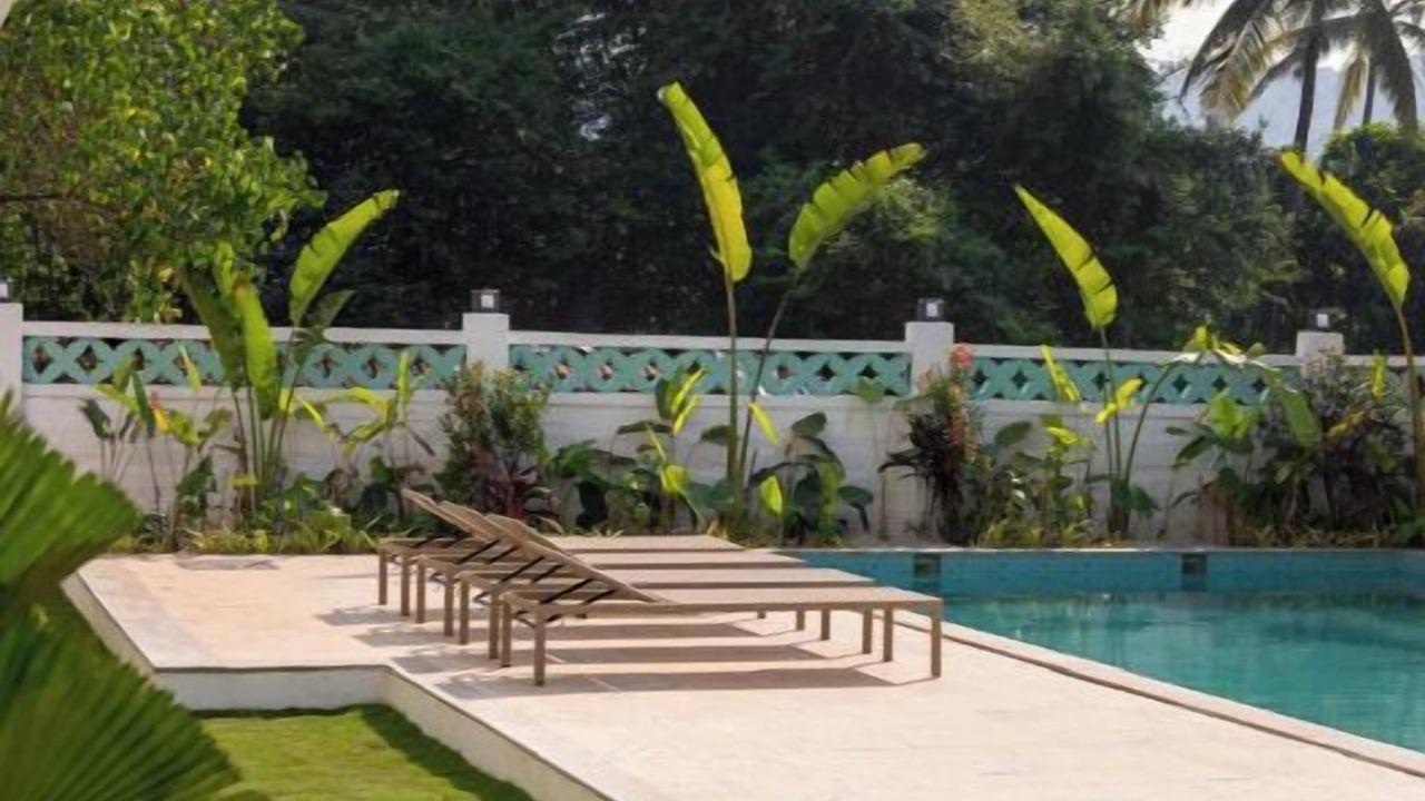 Photo of Outdoor in Arambol