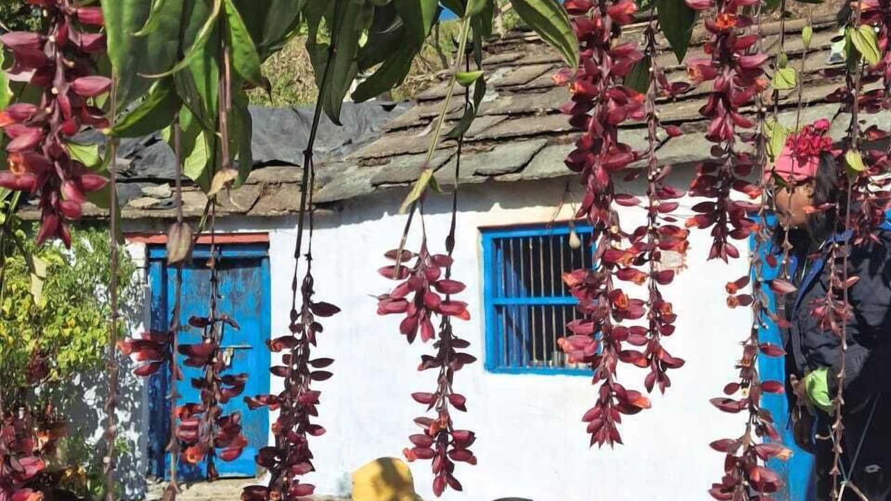 Photo of Outdoor in Sirala