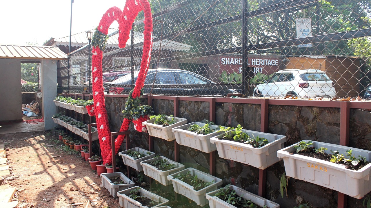 Photo of Outdoor in Mahabaleshwar