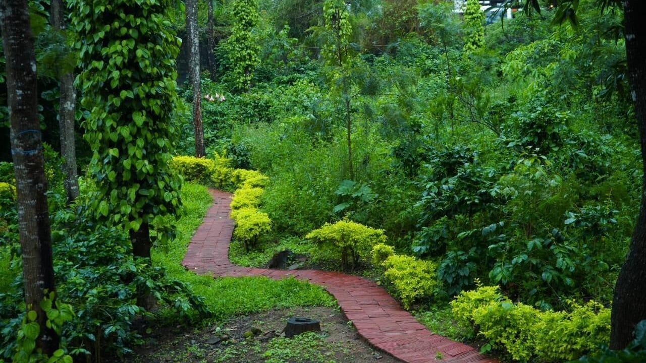 Photo of Outdoor in Yercaud