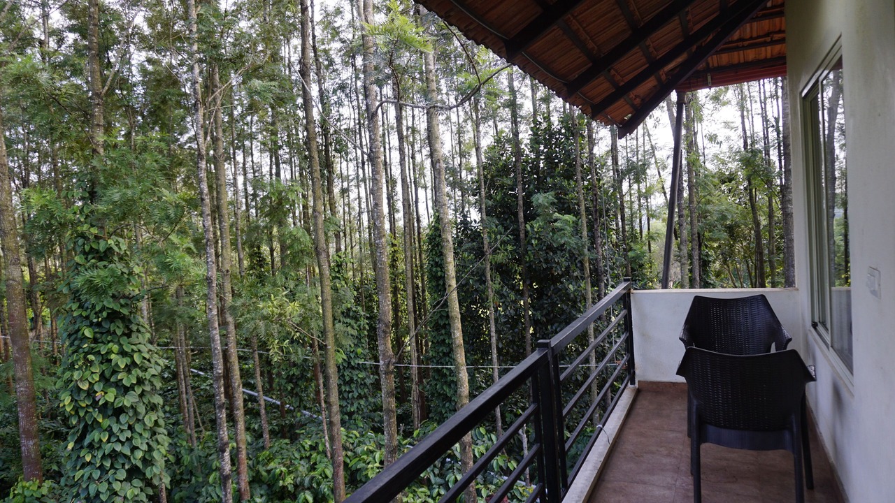 Photo of Patio Balcony in Chikkamagaluru