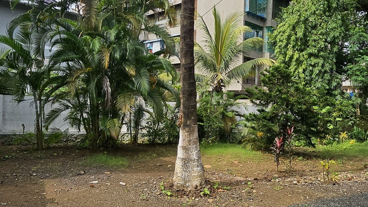 Photo of Outdoor in Alibaug
