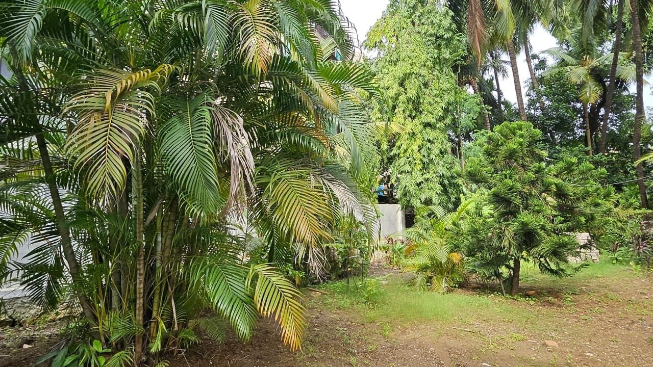 Photo of Outdoor in Alibaug